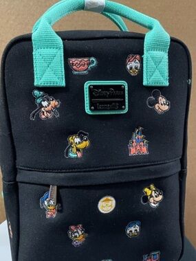 Disney Parks character canvas  Loungefly